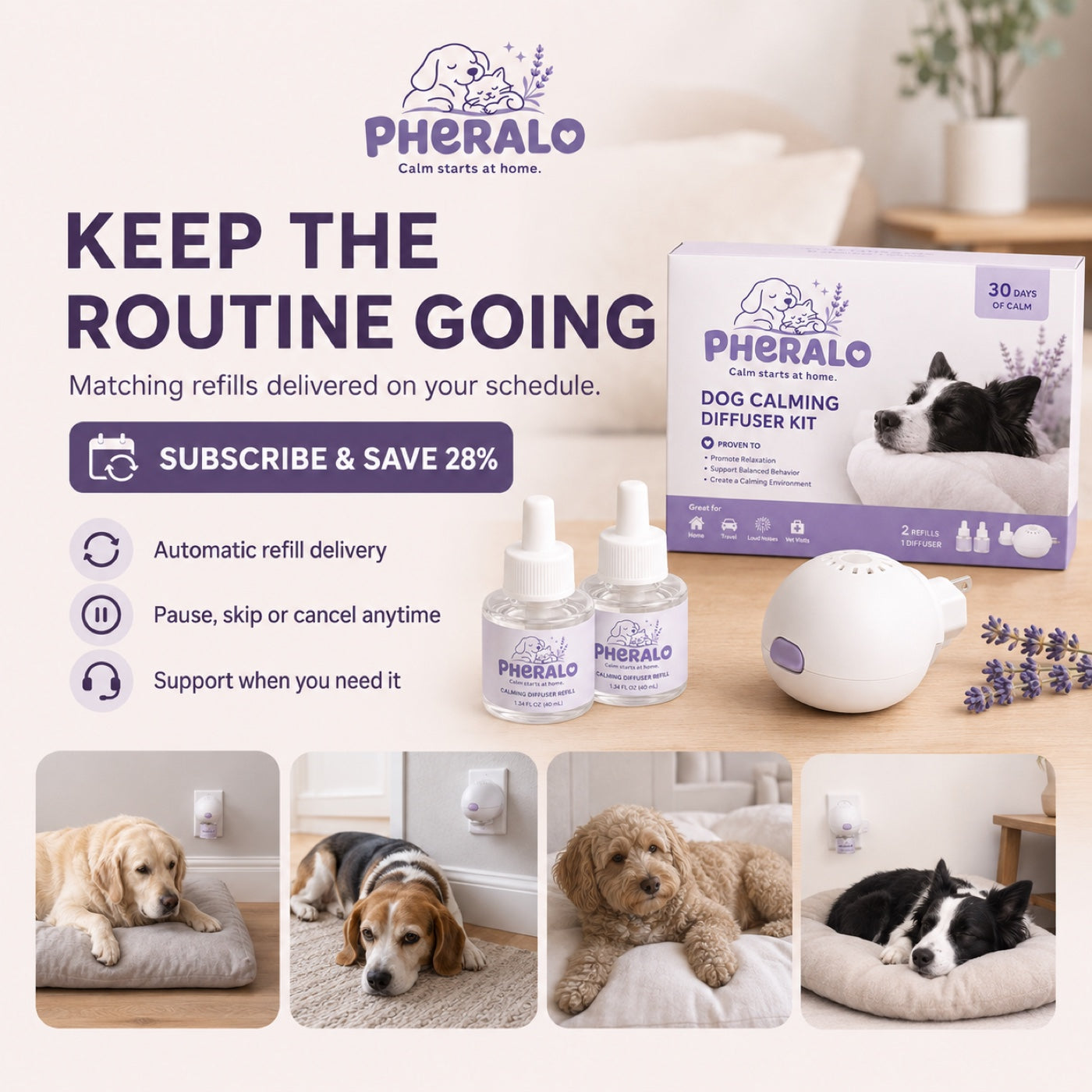 PHERALO Dog Calming Diffuser Kit product gallery image 10